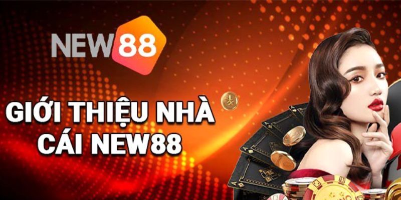 Tầm quan trọng của bộ phận hỗ trợ New88